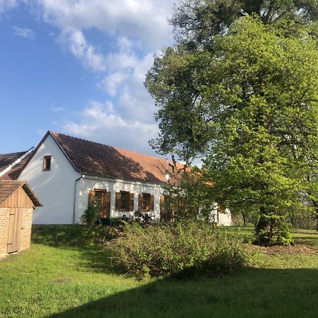 Apartamento Sonnenhof Limbach im Burgenland Exterior foto