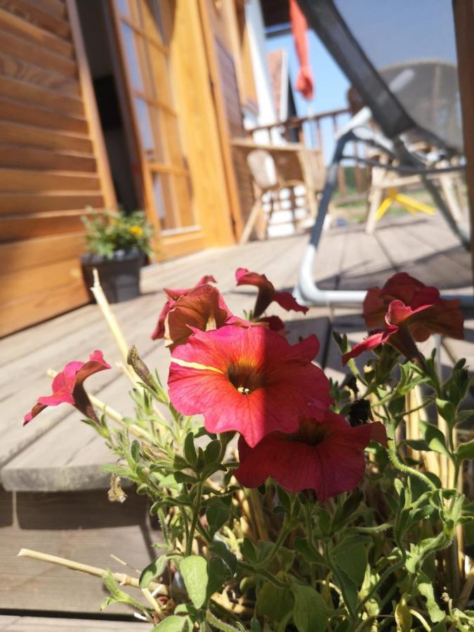 Apartamento Sonnenhof Limbach im Burgenland Exterior foto