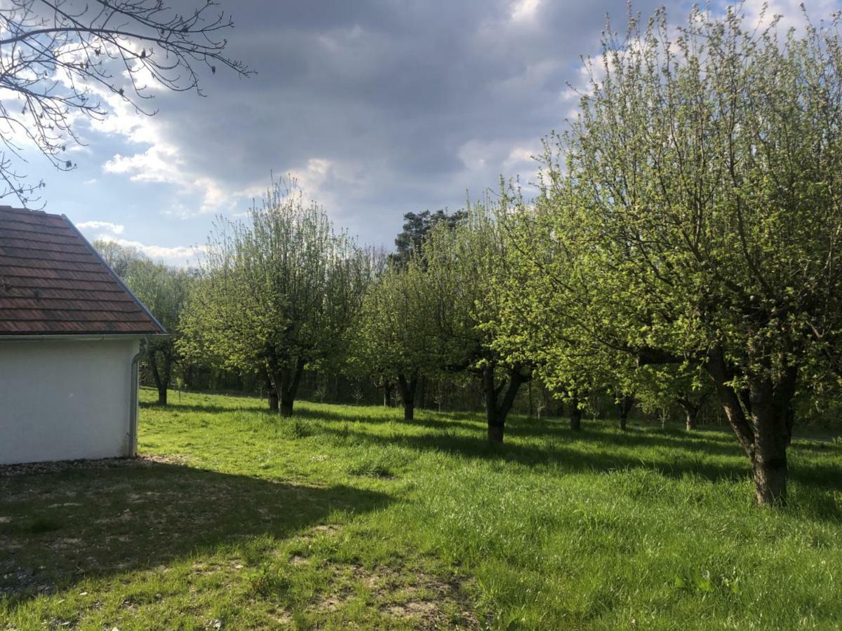 Apartamento Sonnenhof Limbach im Burgenland Exterior foto